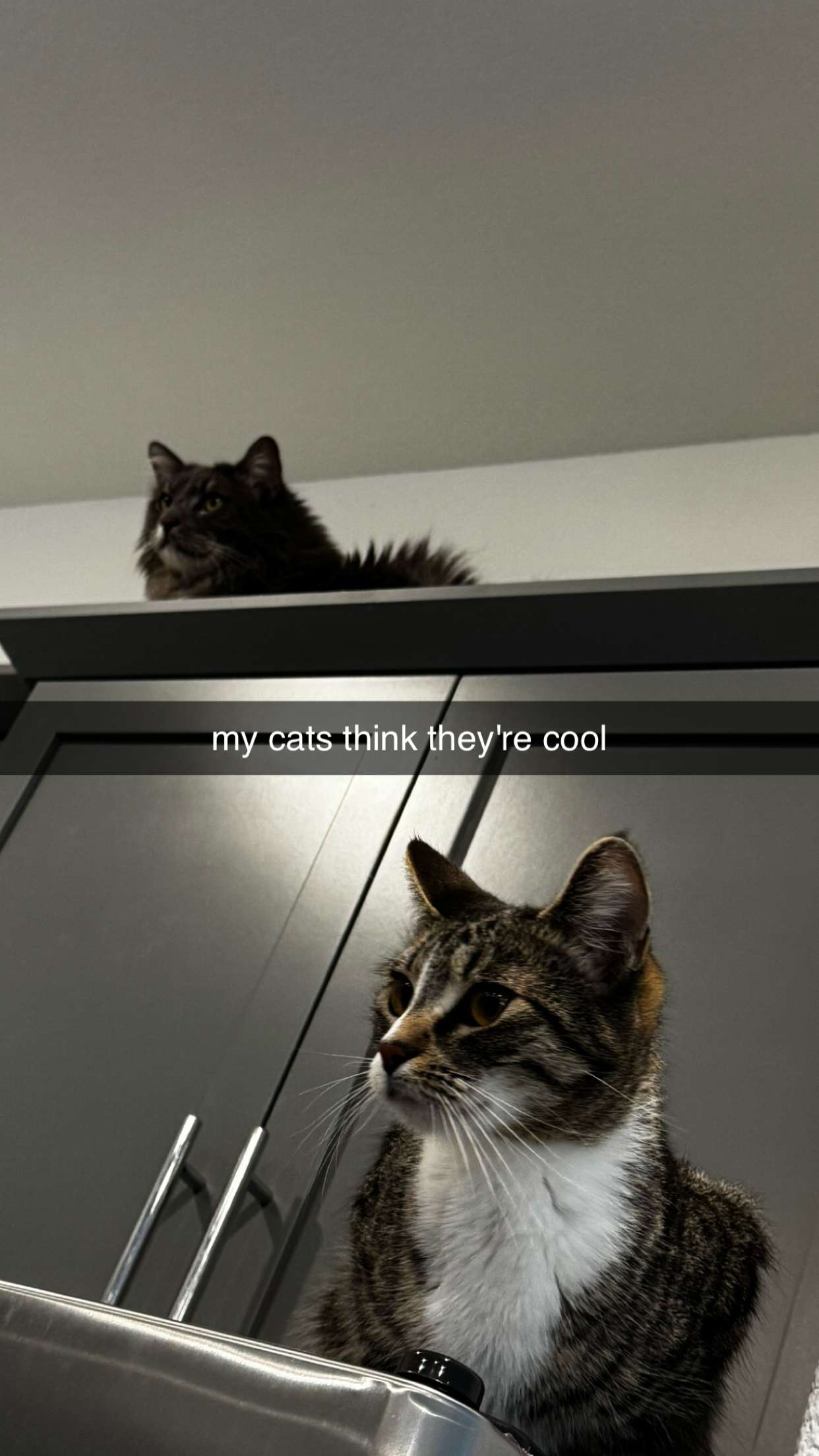 lyssaurora snapchat image archive image