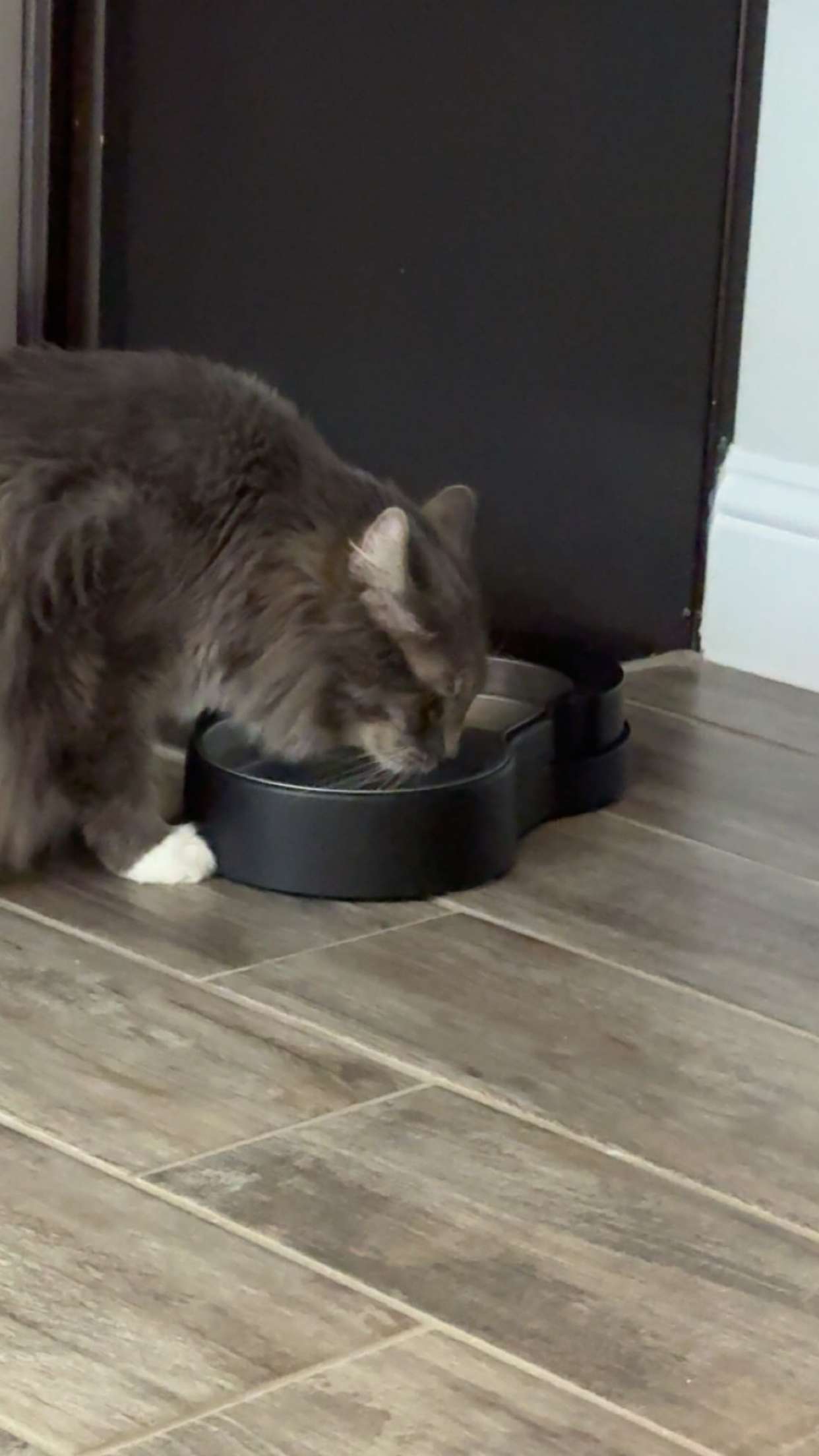 lyssaurora snapchat image archive image