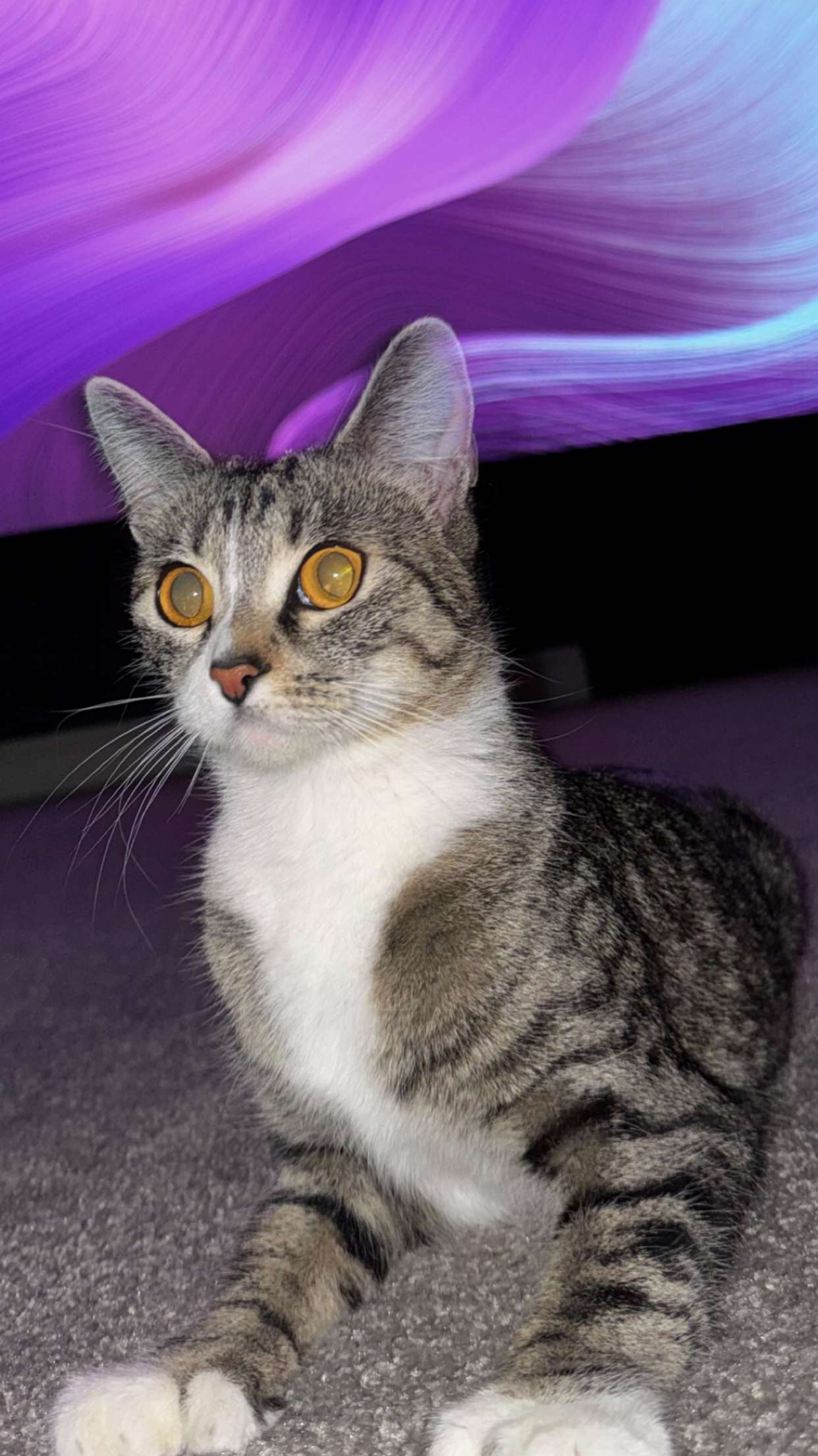 lyssaurora snapchat image archive image