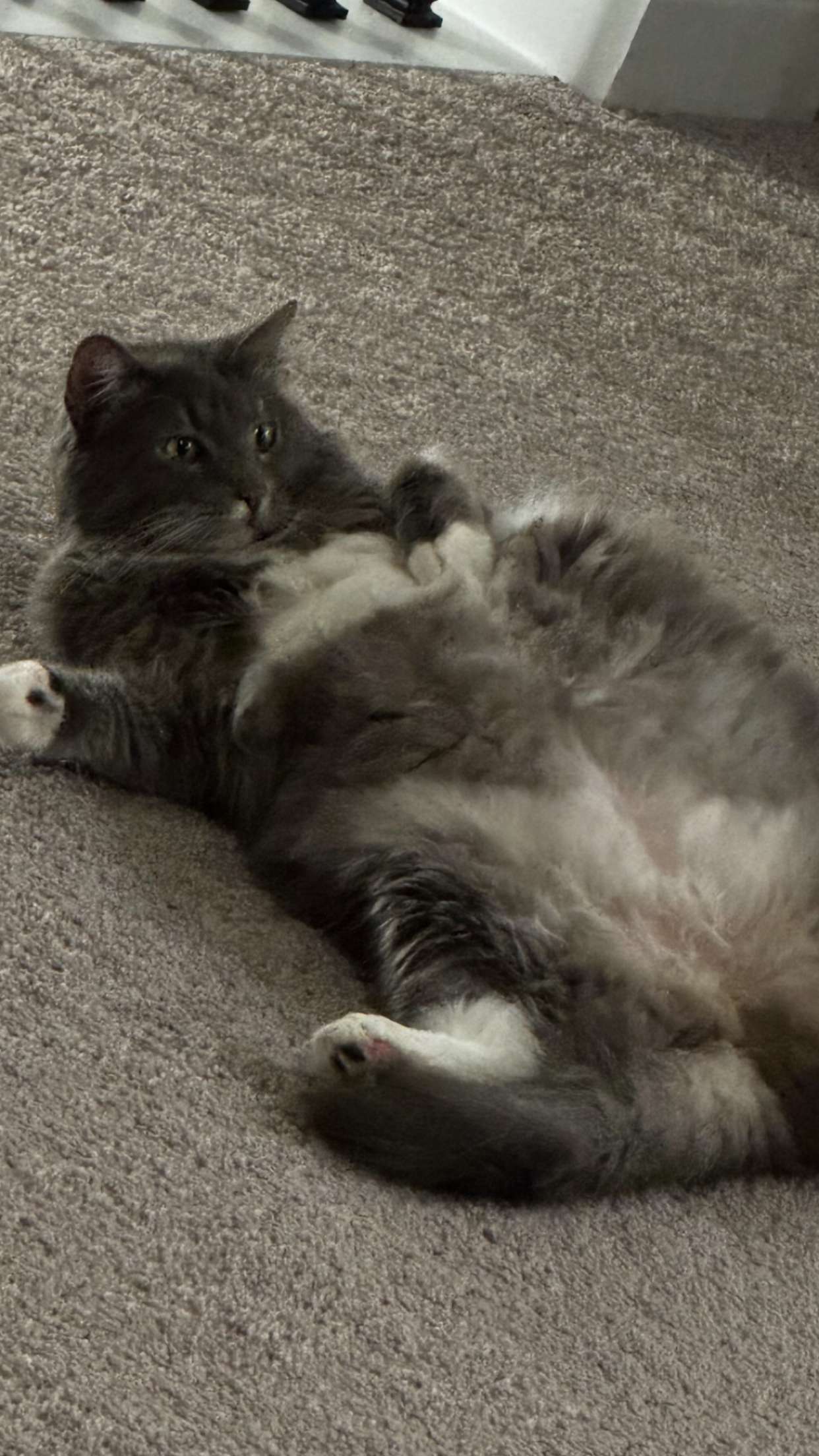 lyssaurora snapchat image archive image