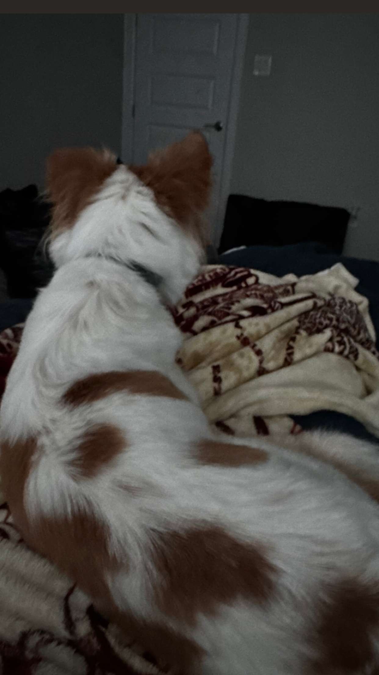 lyssaurora snapchat image archive image