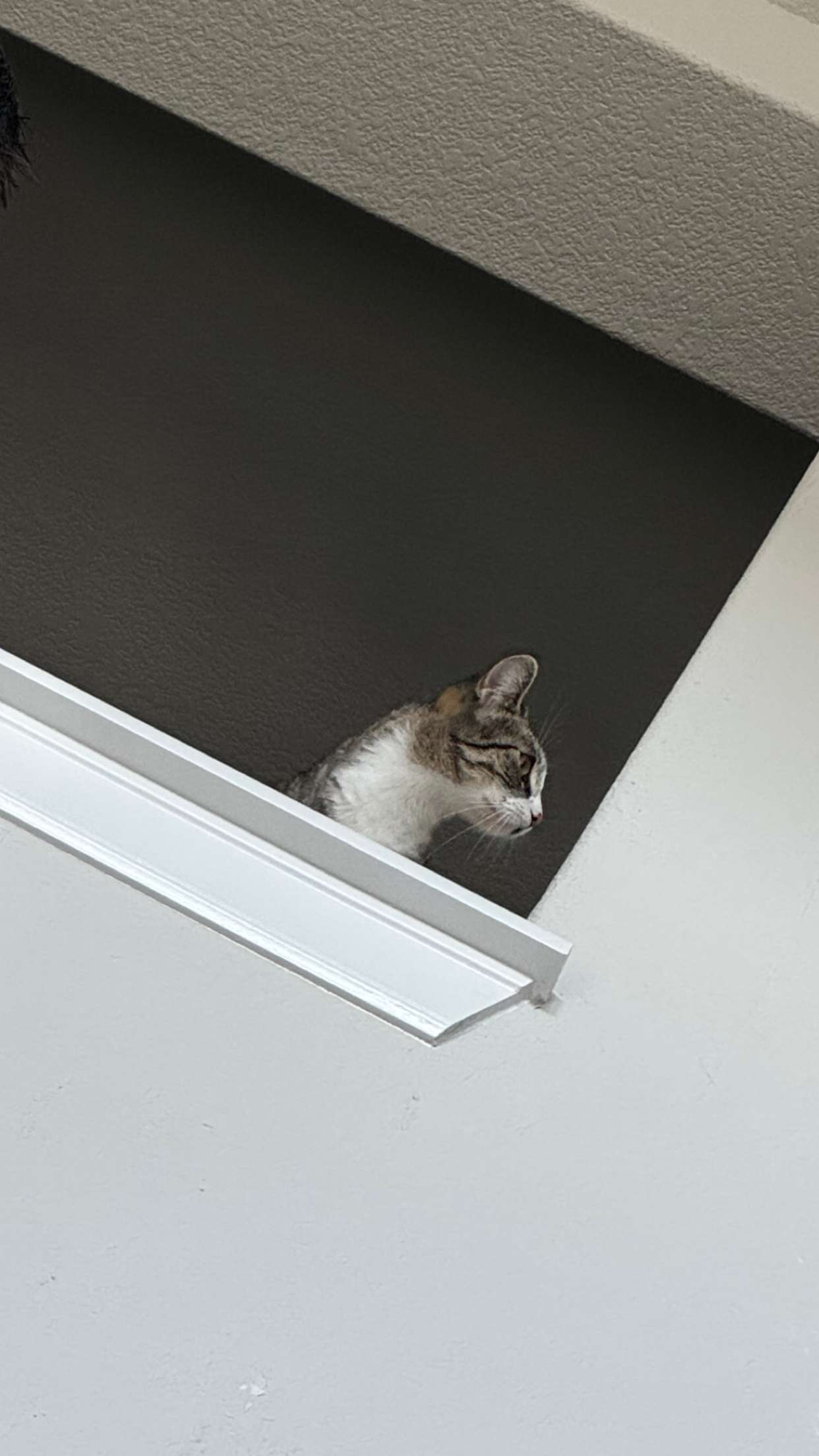 lyssaurora snapchat image archive image