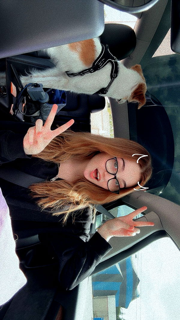 lyssaurora image ~ Altpins