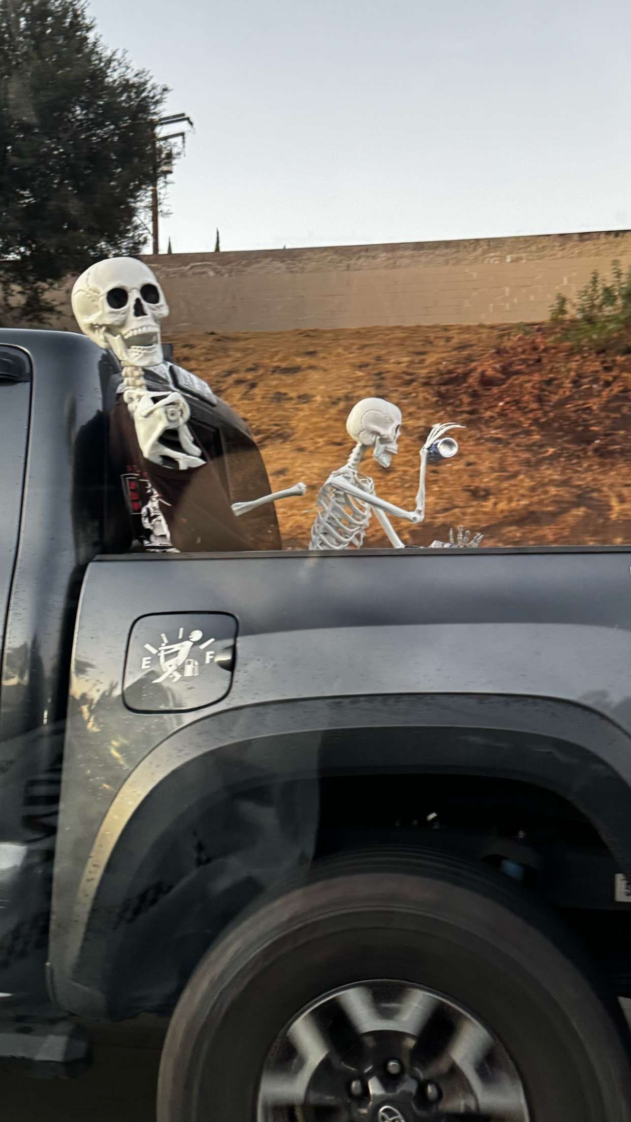 lyssaurora snapchat image archive image