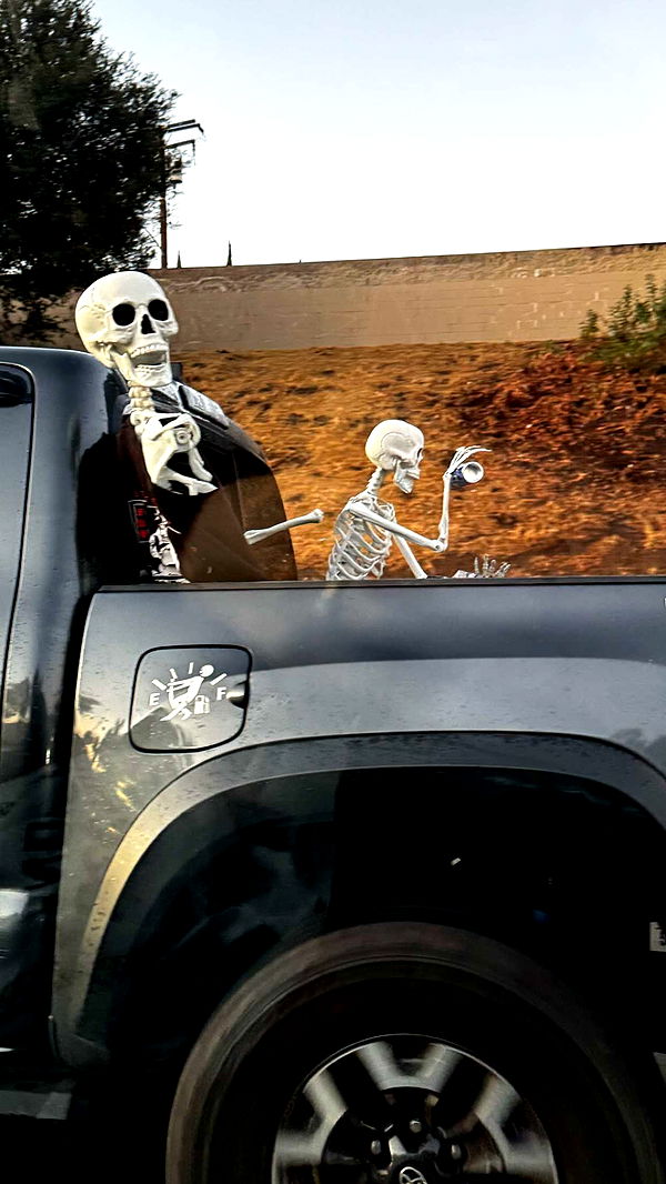 lyssaurora image ~ Altpins