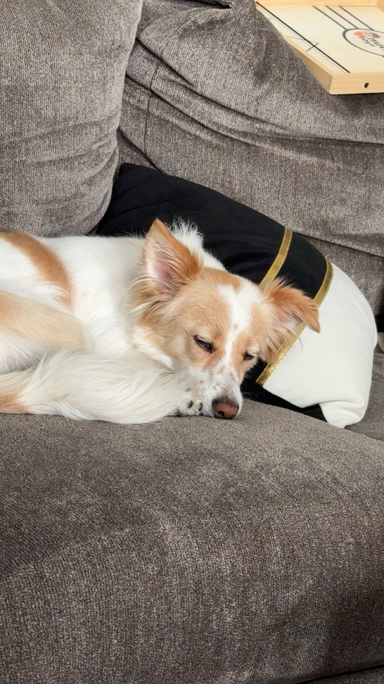 lyssaurora snapchat image archive image