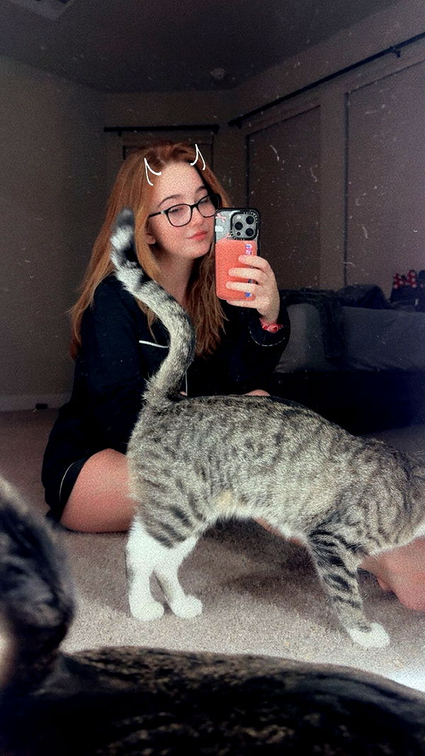 lyssaurora image ~ Altpins