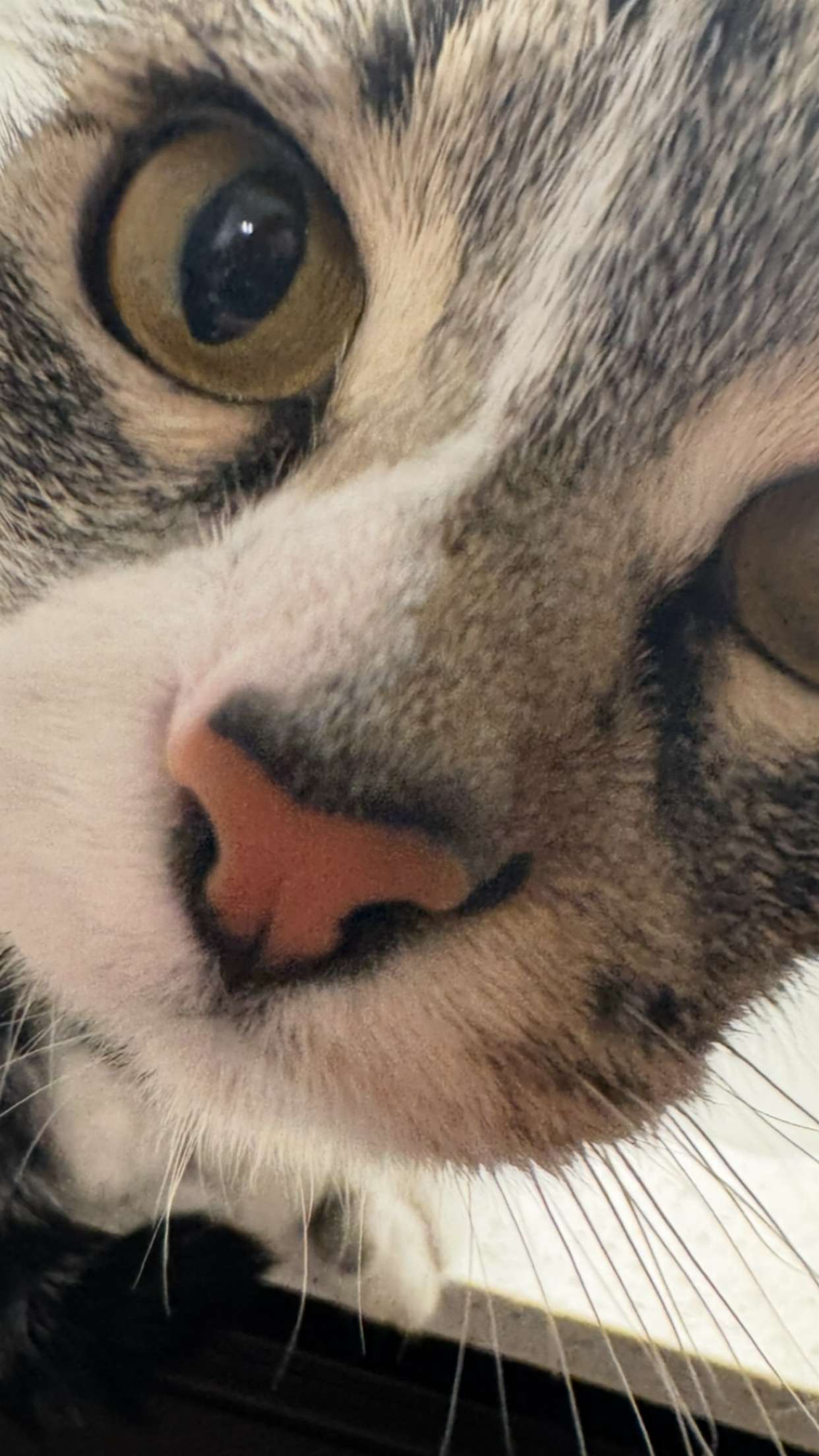 lyssaurora snapchat image archive image