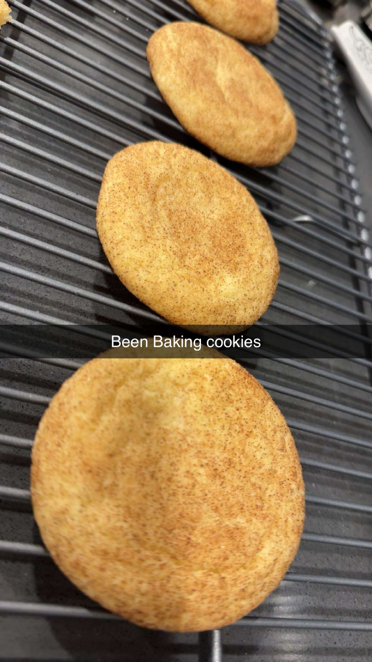 lyssaurora snapchat image archive image