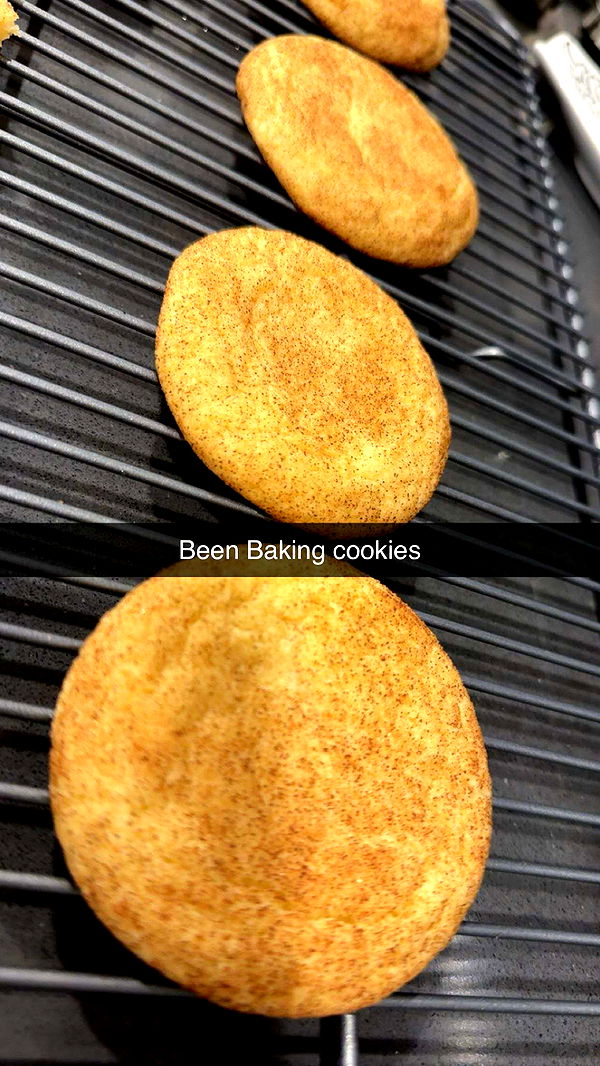 lyssaurora image ~ Altpins