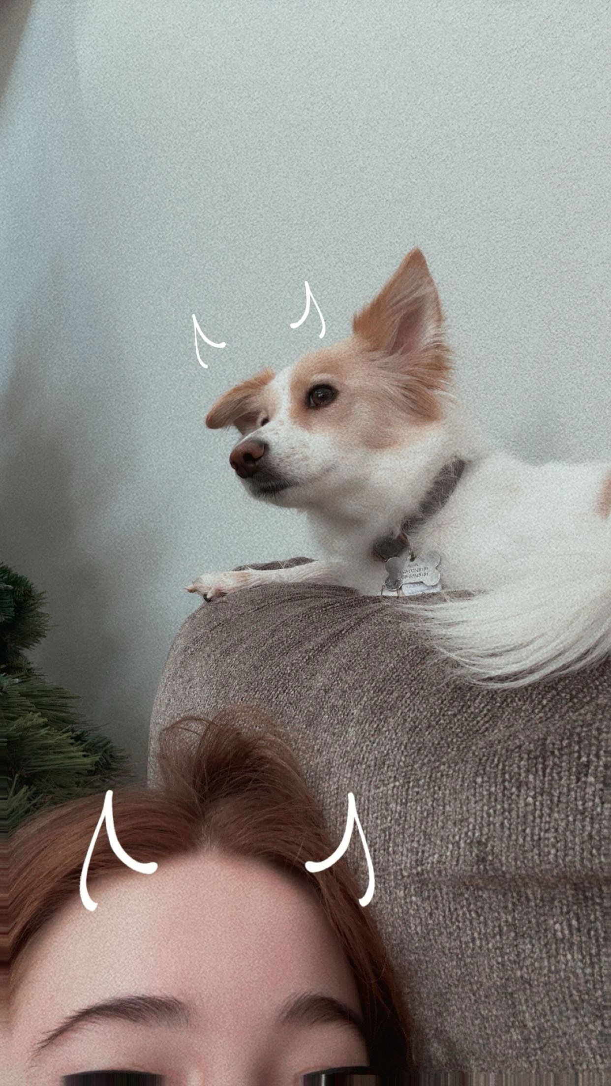 lyssaurora snapchat image archive image