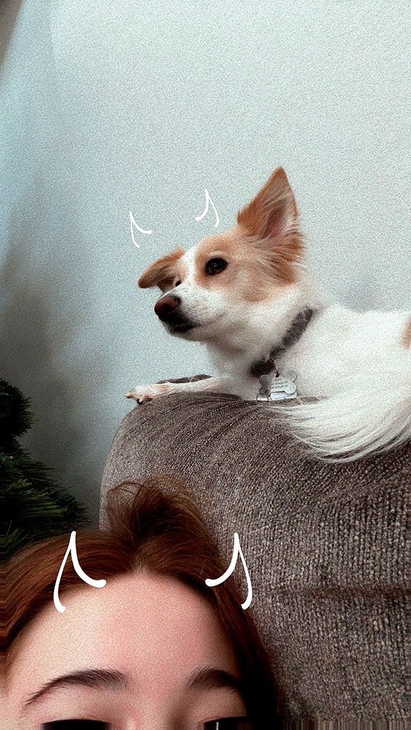 lyssaurora image ~ Altpins