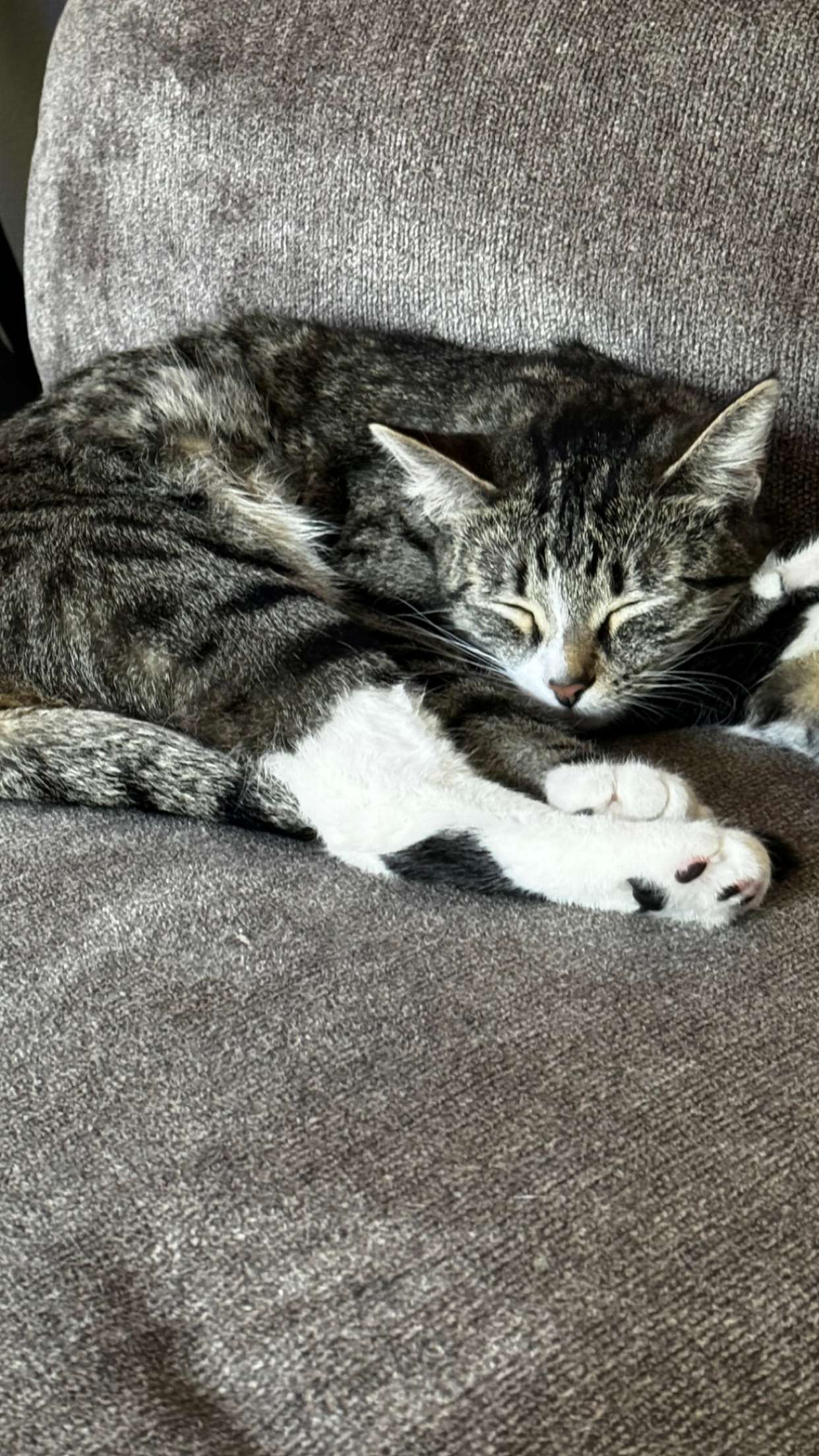 lyssaurora snapchat image archive image