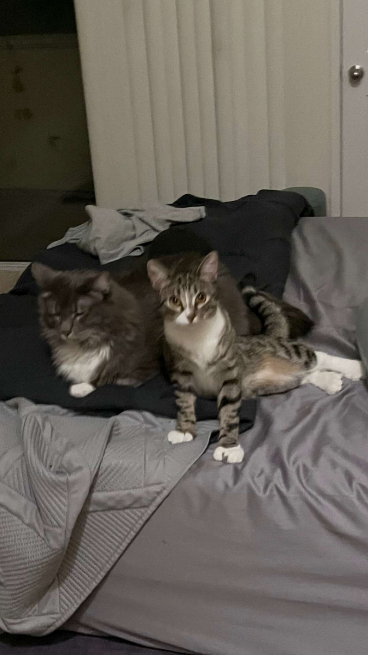 lyssaurora snapchat image archive image