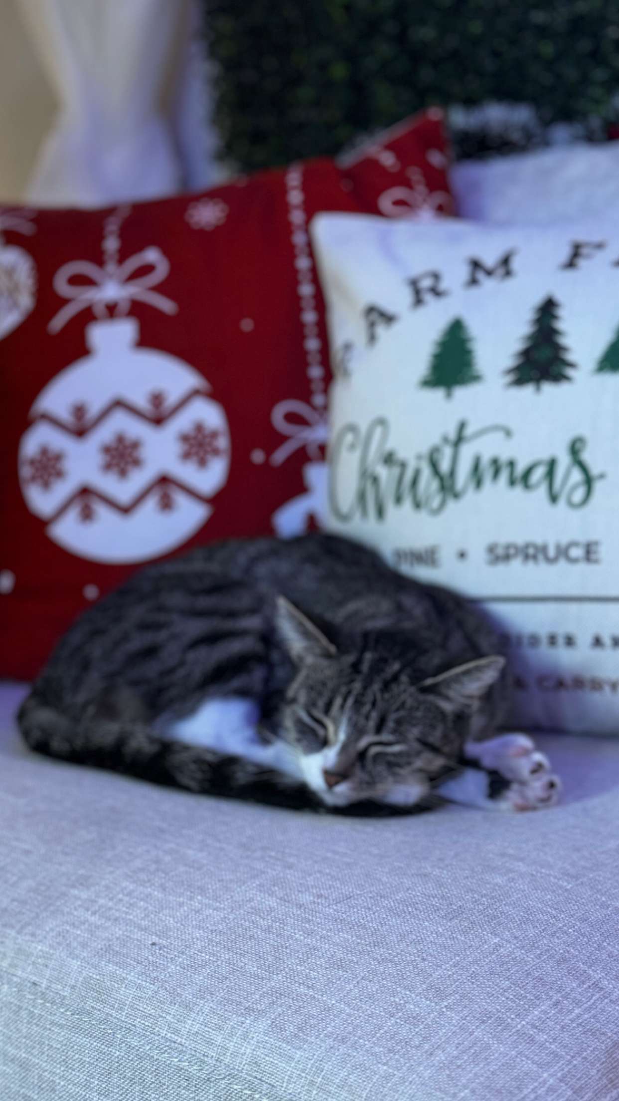 lyssaurora snapchat image archive image