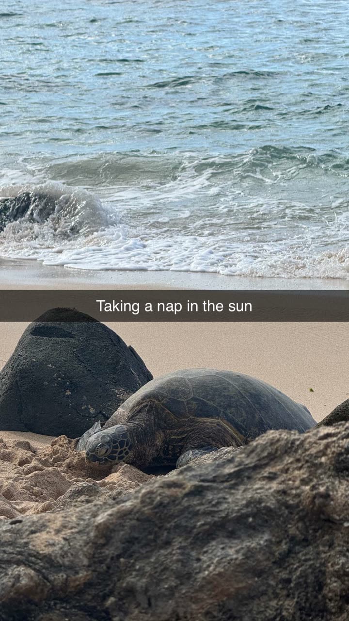 maddietaggx snapchat image archive image