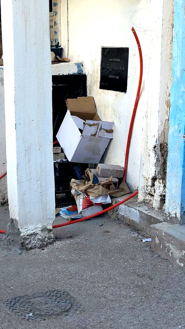 maddietaggx image ~ Altpins