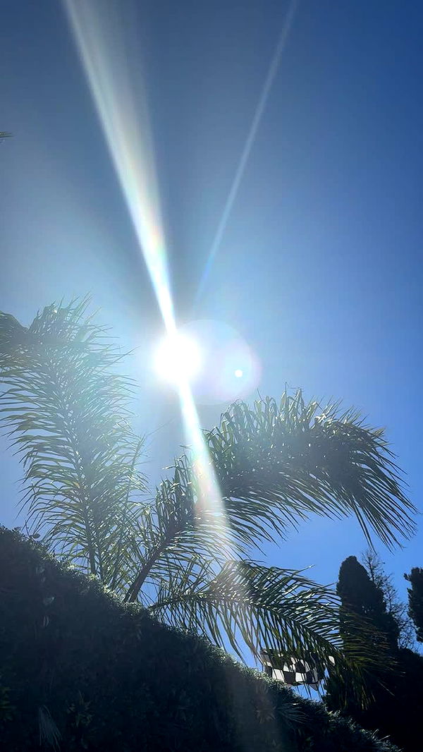 maddietaggx image ~ Altpins