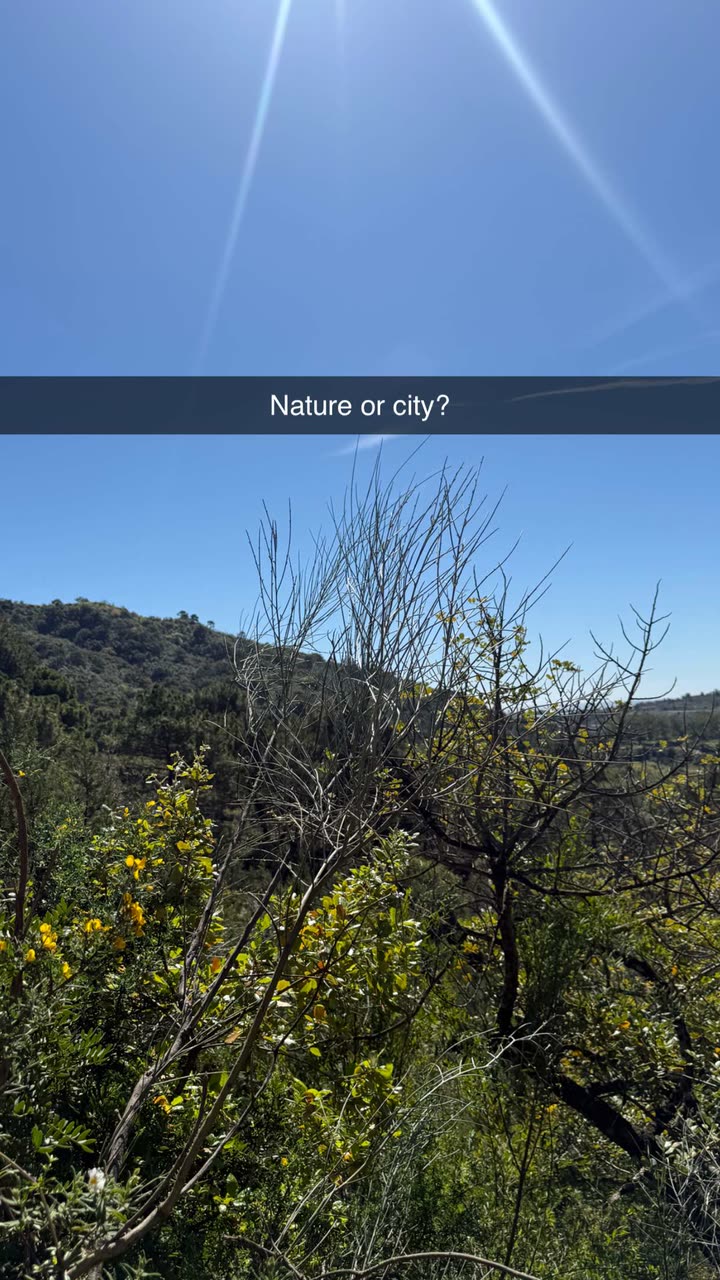 maddietaggx snapchat image archive image