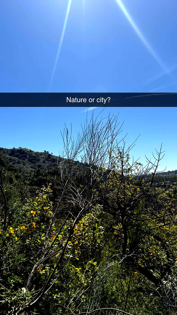 maddietaggx image ~ Altpins