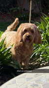 maddietaggx Altpins Profile Picture