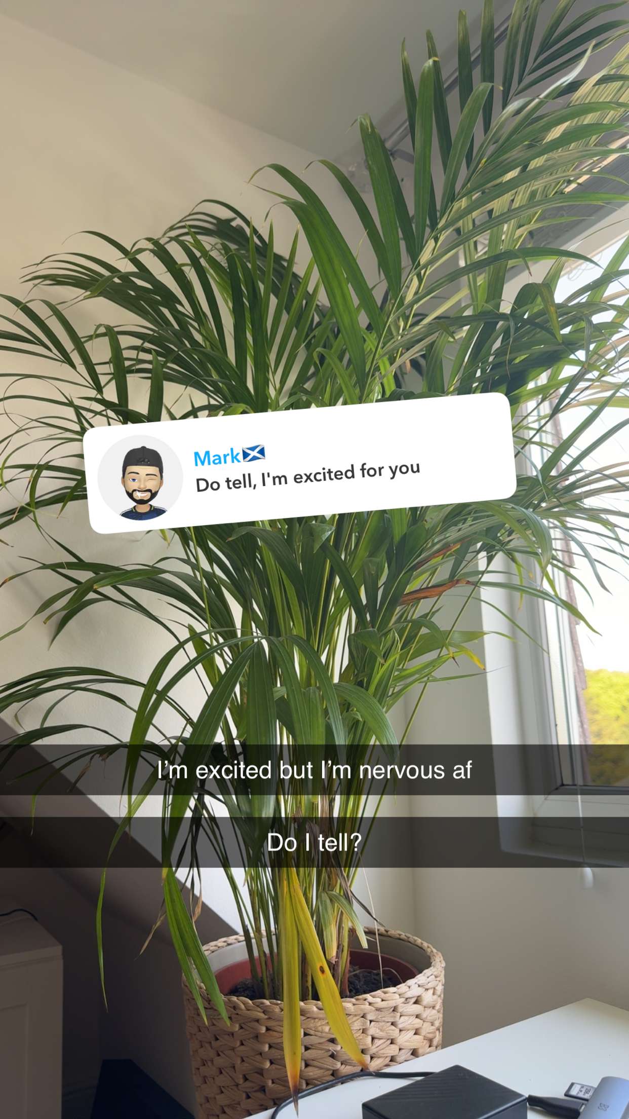 maddietaggx snapchat image archive image