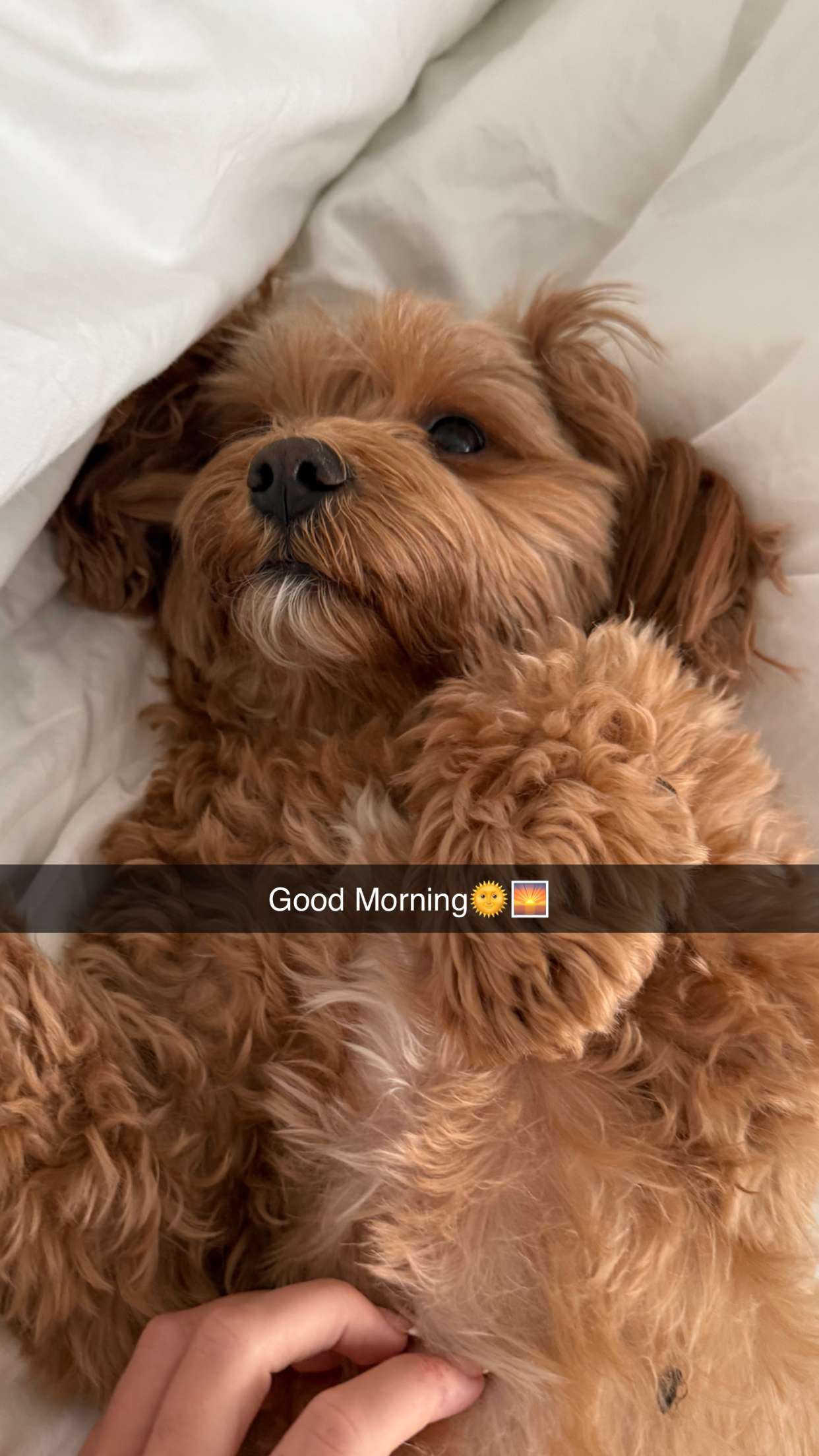 maddietaggx snapchat image archive image