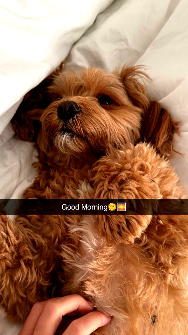 maddietaggx image ~ Altpins