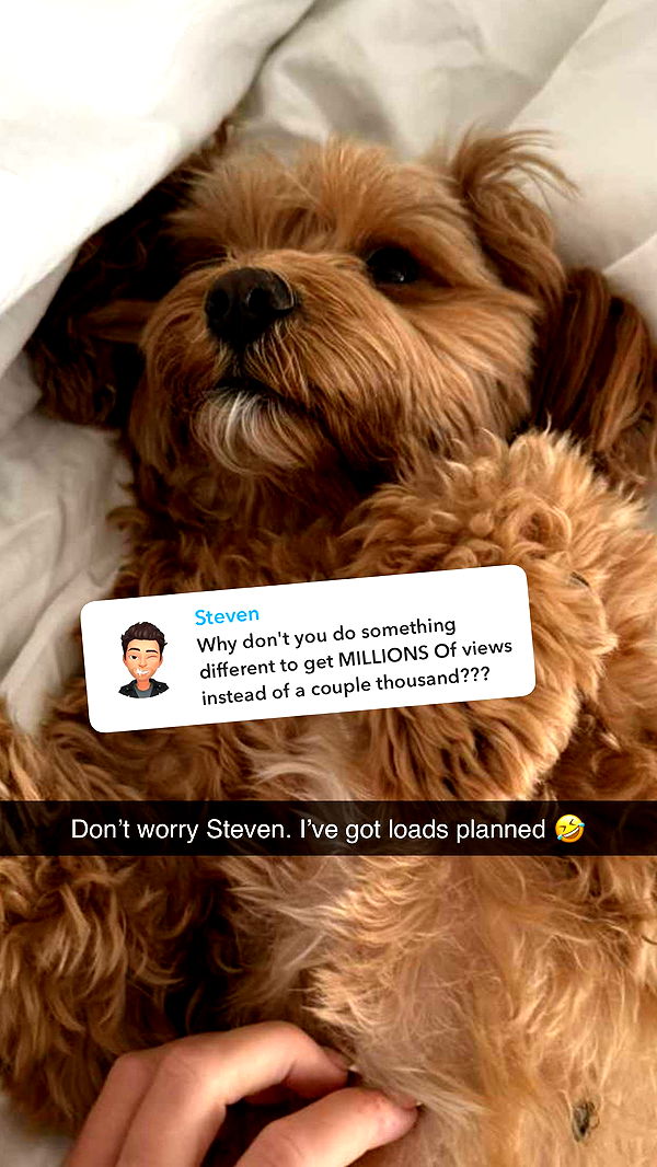 maddietaggx image ~ Altpins