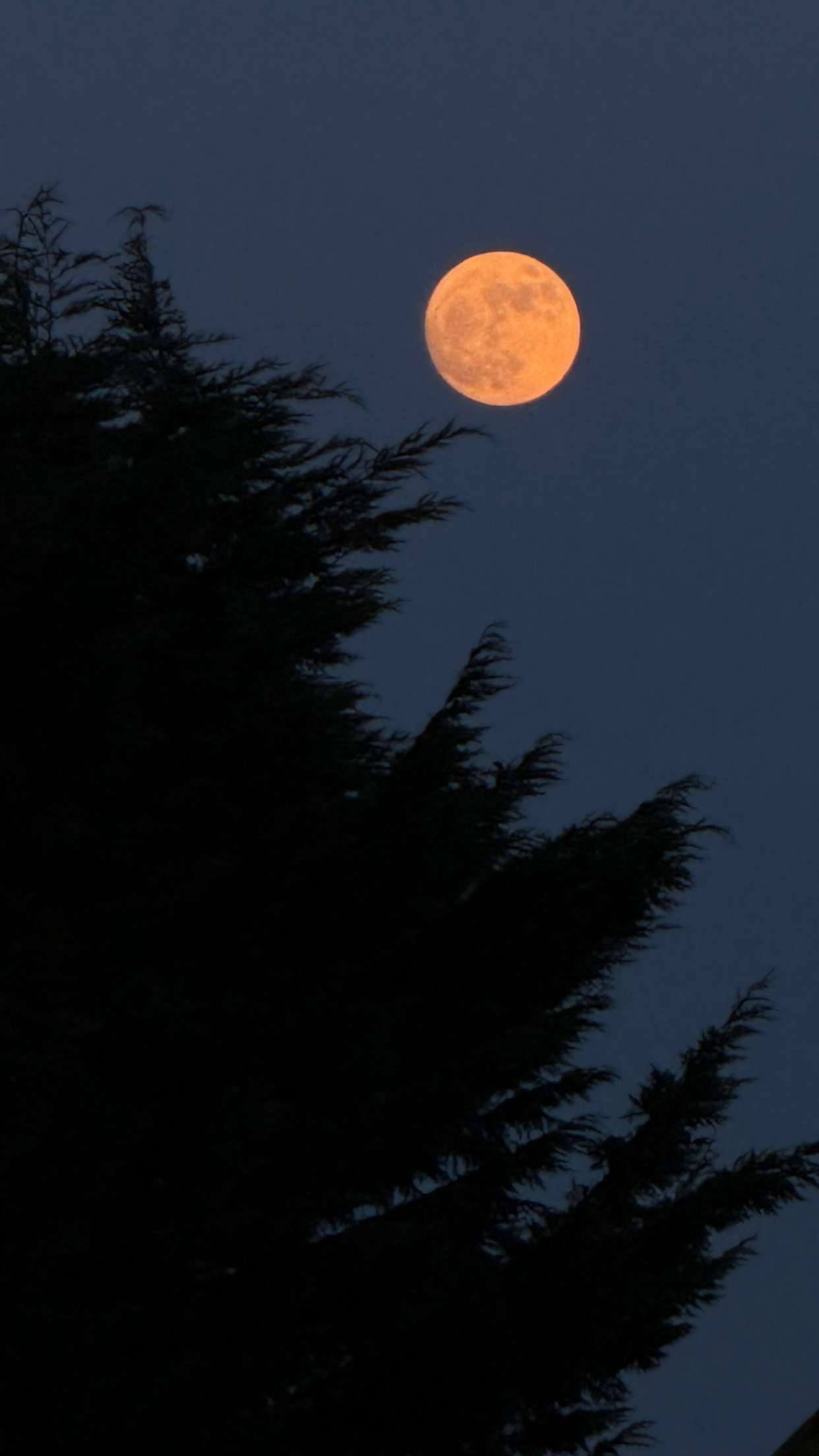 maddietaggx snapchat image archive image