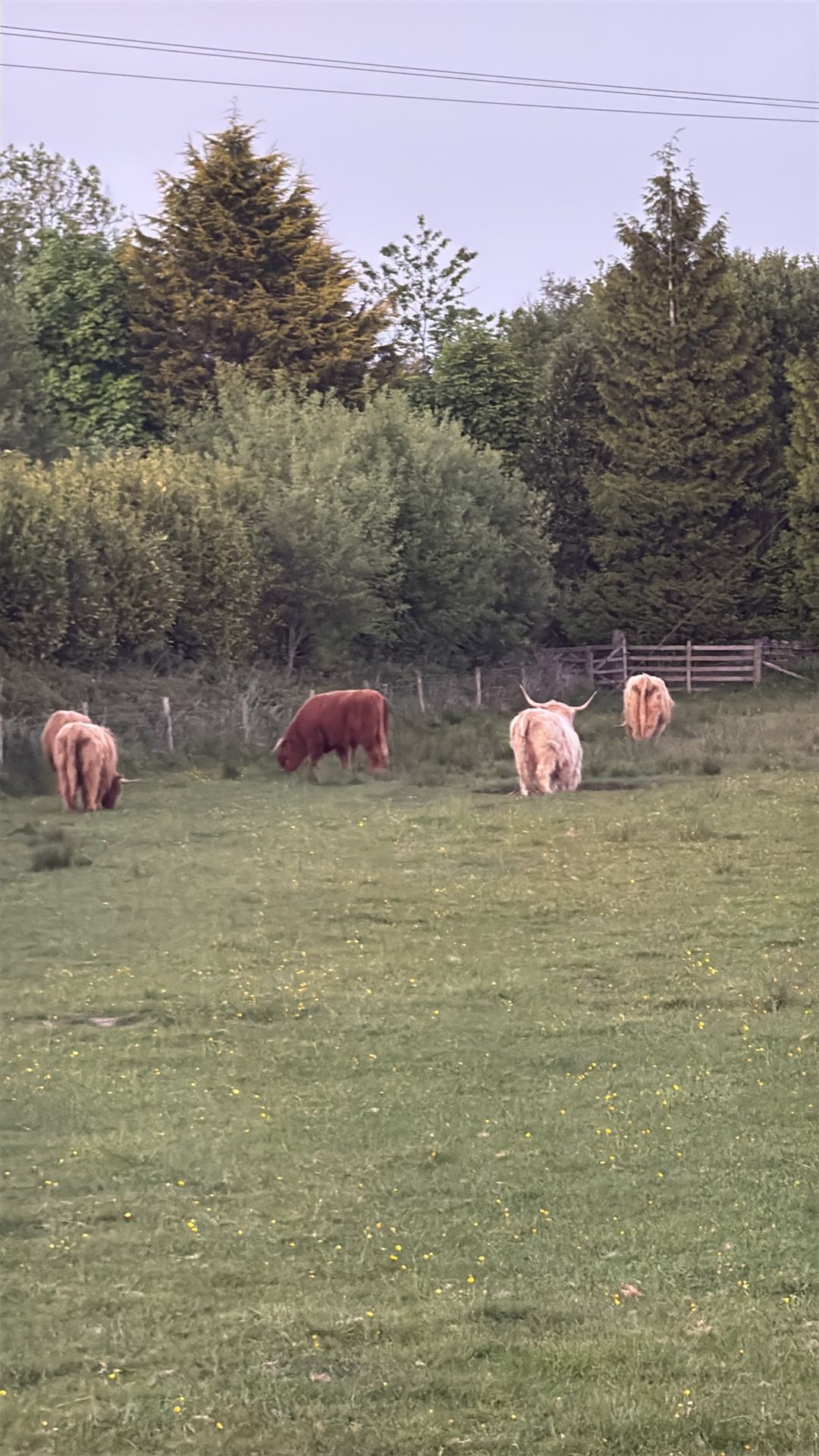 maddietaggx snapchat image archive image