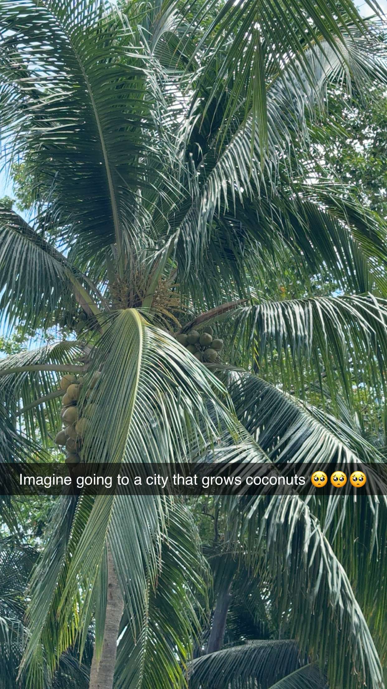 maddietaggx snapchat image archive image