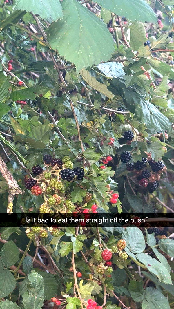 maddietaggx snapchat image archive image