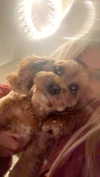maddietaggx Altpins Profile Picture