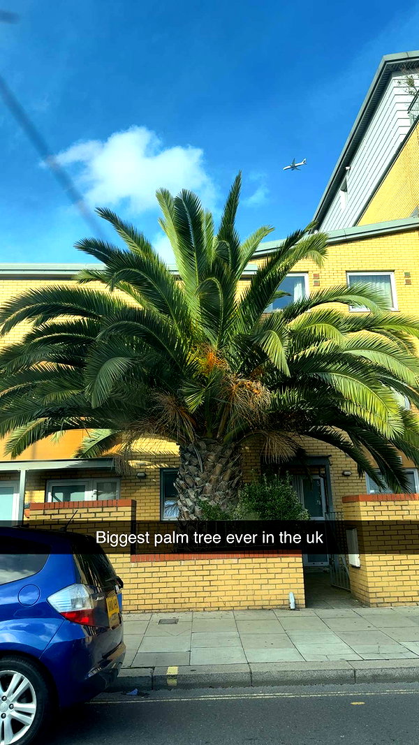 maddietaggx snapchat image archive image