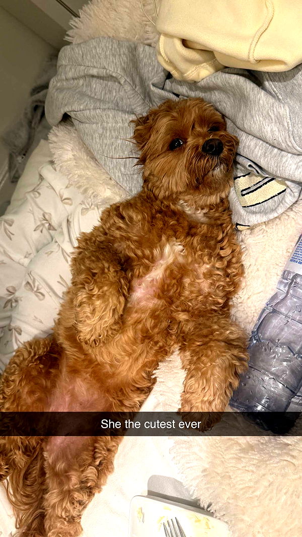 maddietaggx image ~ Altpins