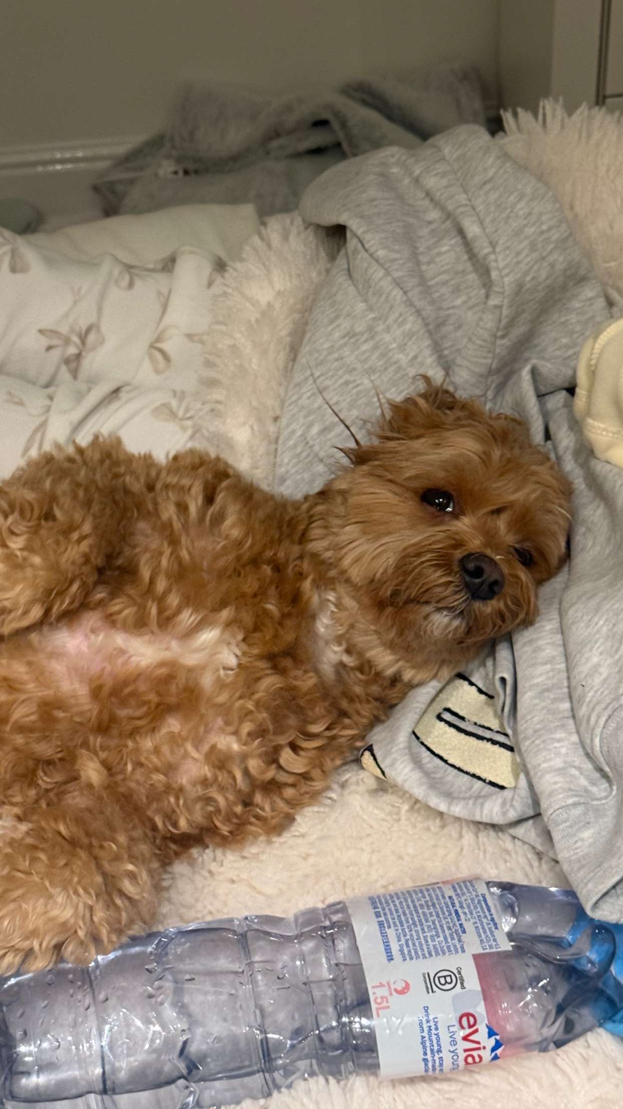 maddietaggx snapchat image archive image