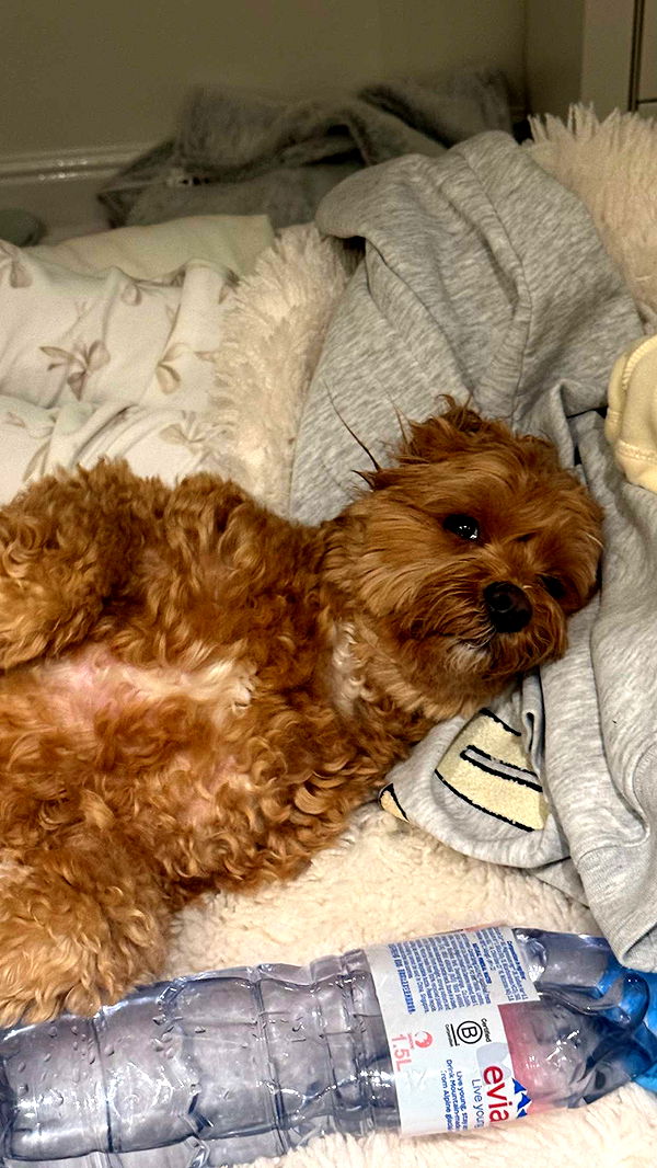 maddietaggx image ~ Altpins