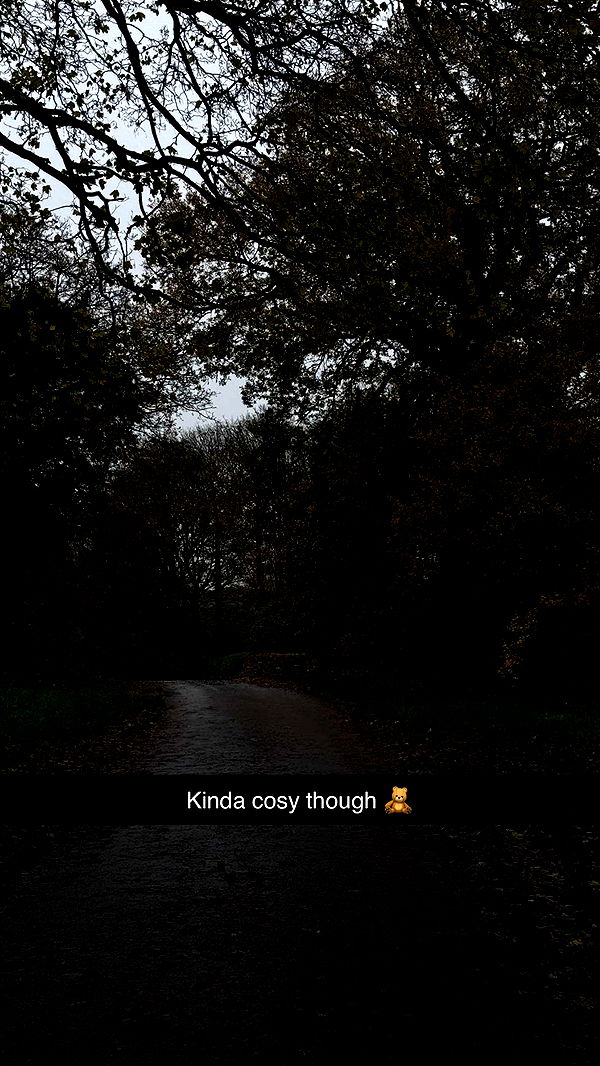 maddietaggx image ~ Altpins