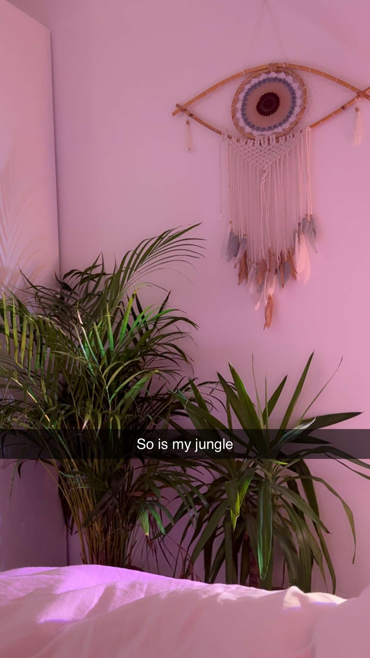 maddietaggx snapchat image archive image