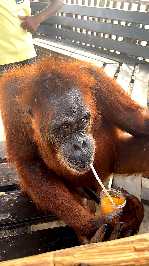 maddietaggx image ~ Altpins