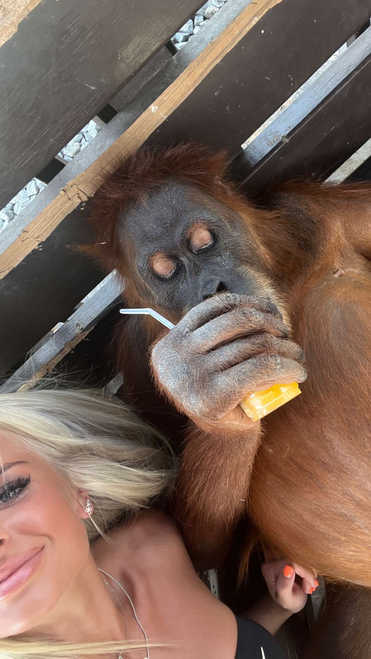 maddietaggx snapchat image archive image