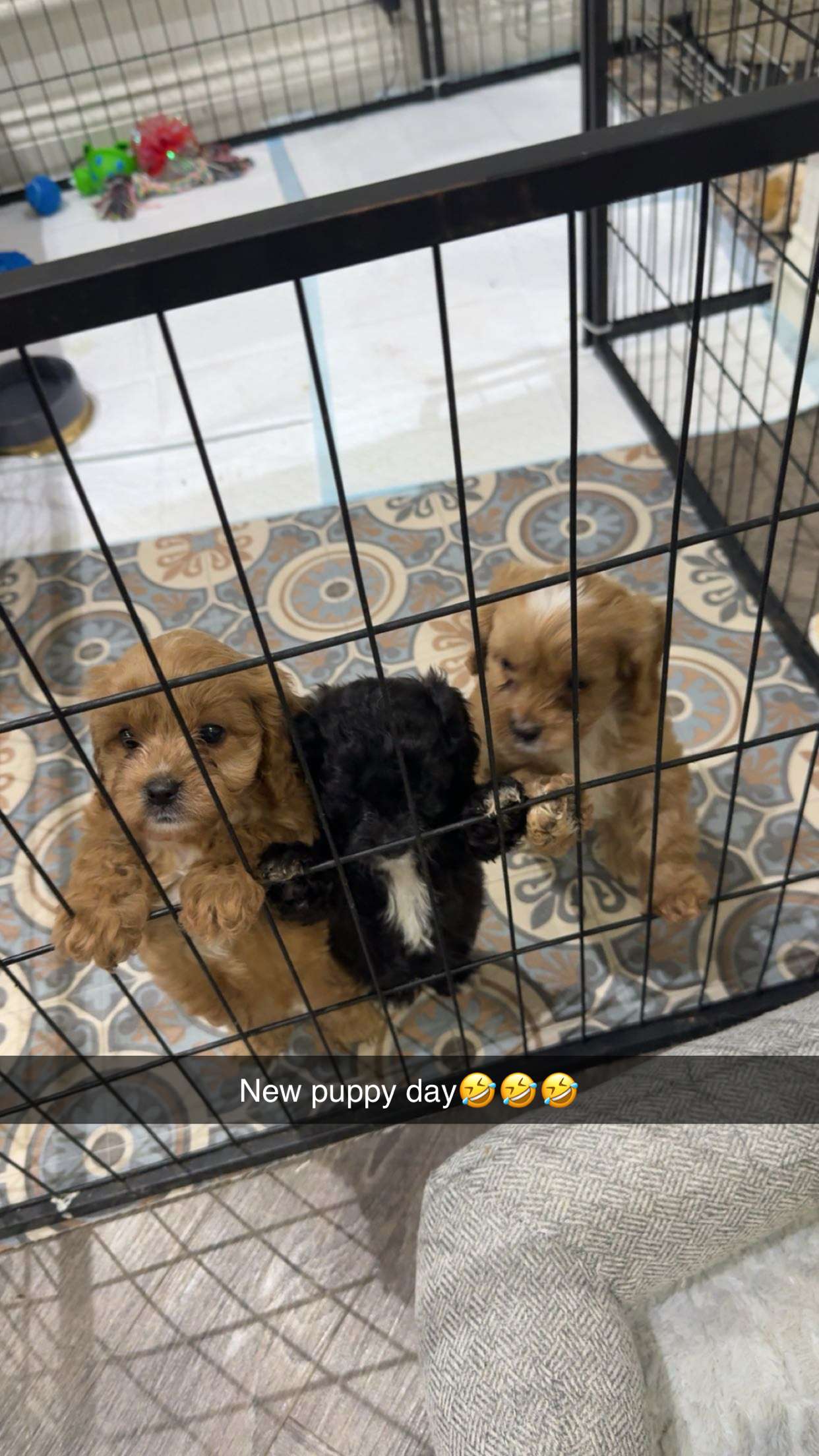 maddietaggx snapchat image archive image