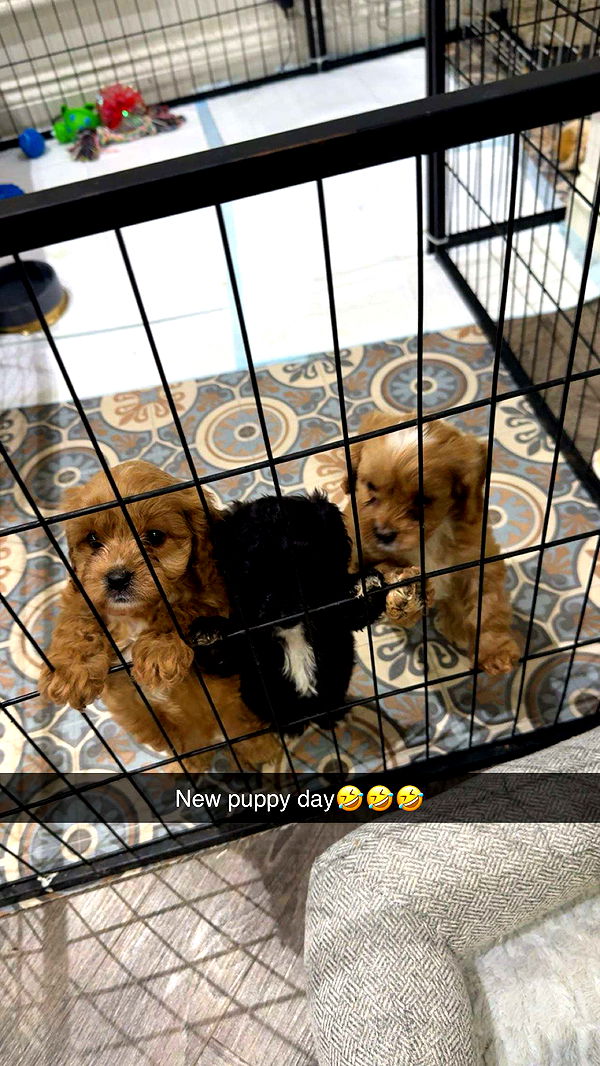 maddietaggx image ~ Altpins