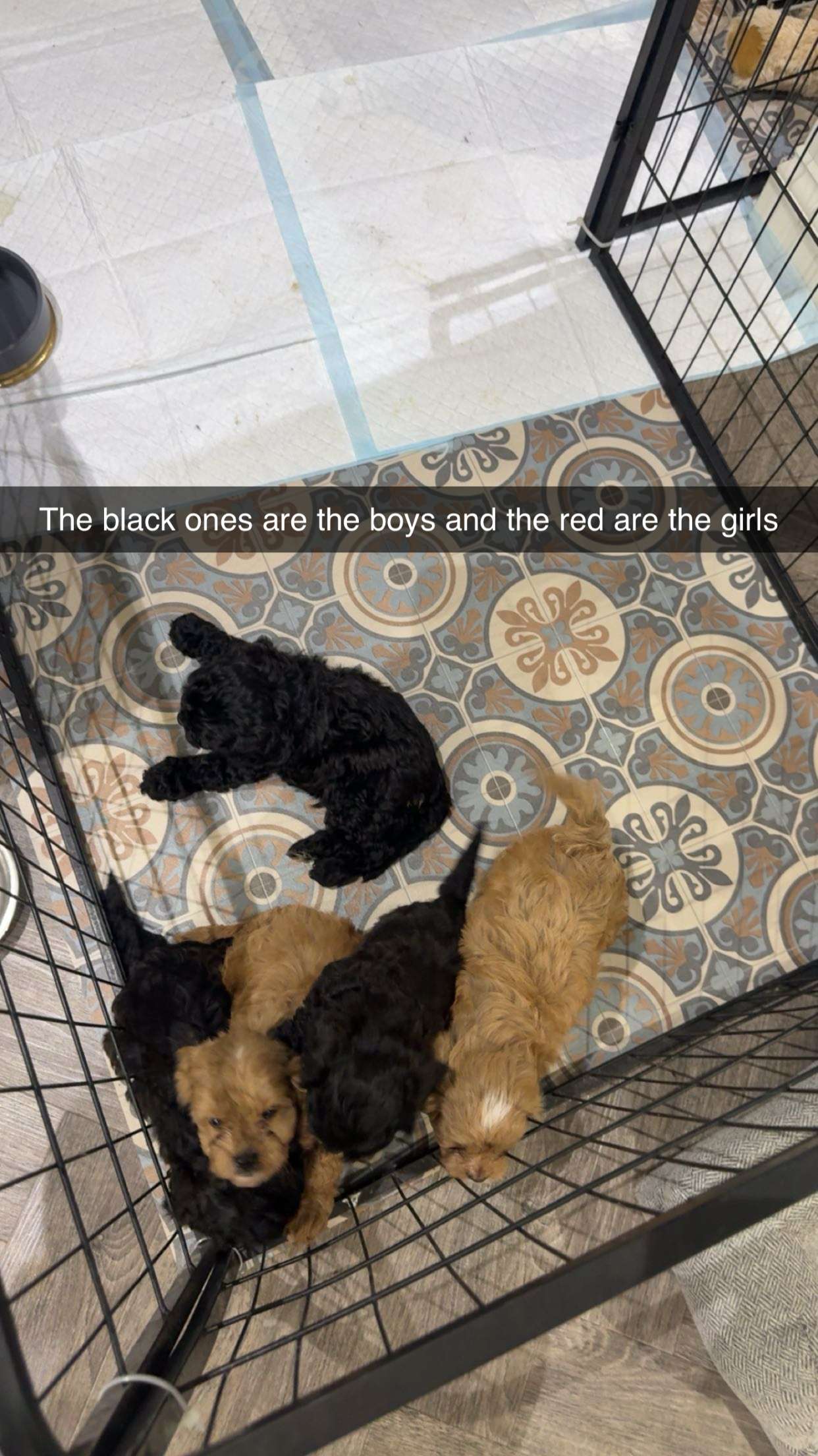 maddietaggx snapchat image archive image