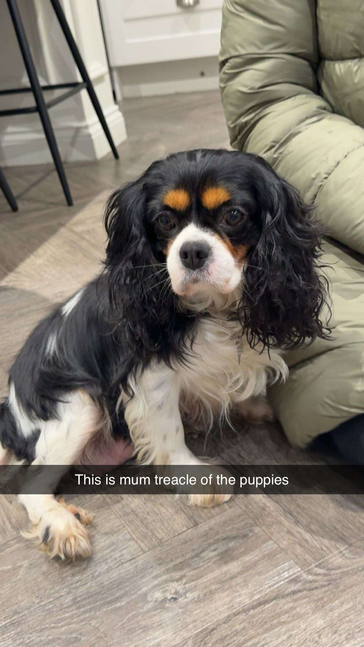 maddietaggx snapchat image archive image