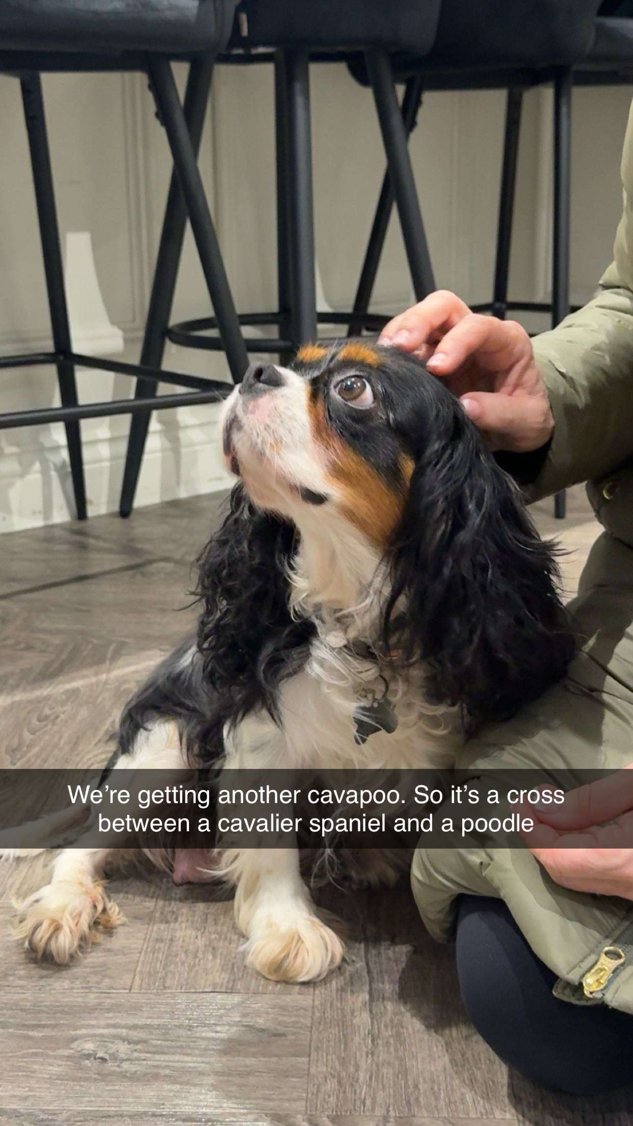 maddietaggx snapchat image archive image