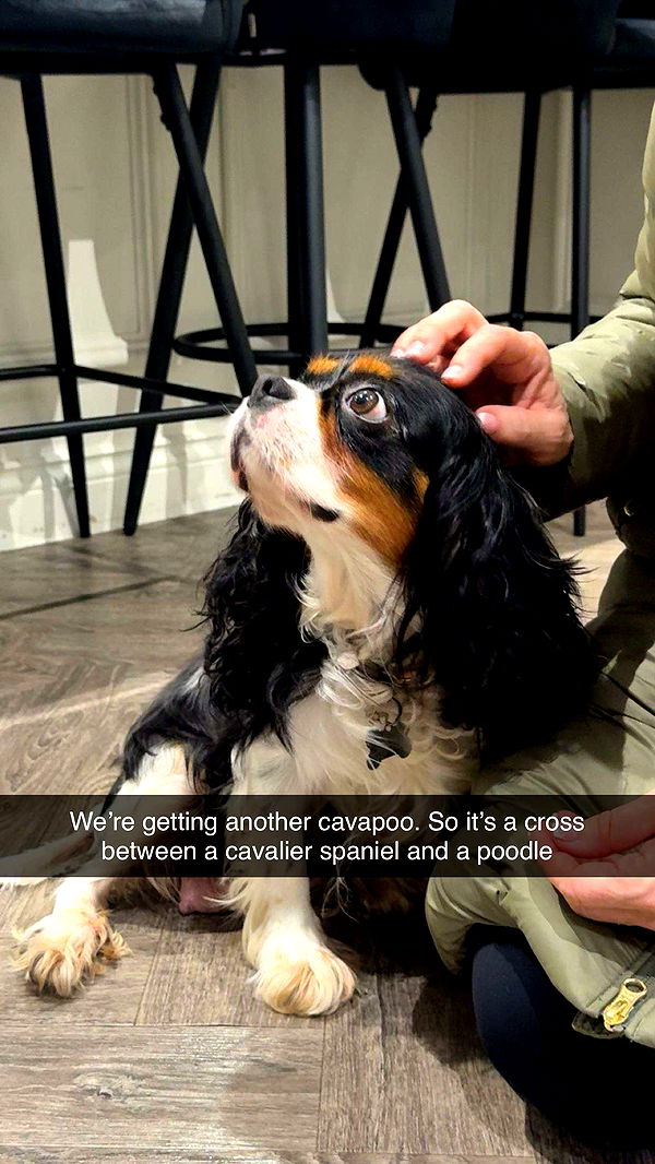 maddietaggx image ~ Altpins