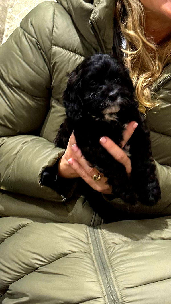 maddietaggx image ~ Altpins