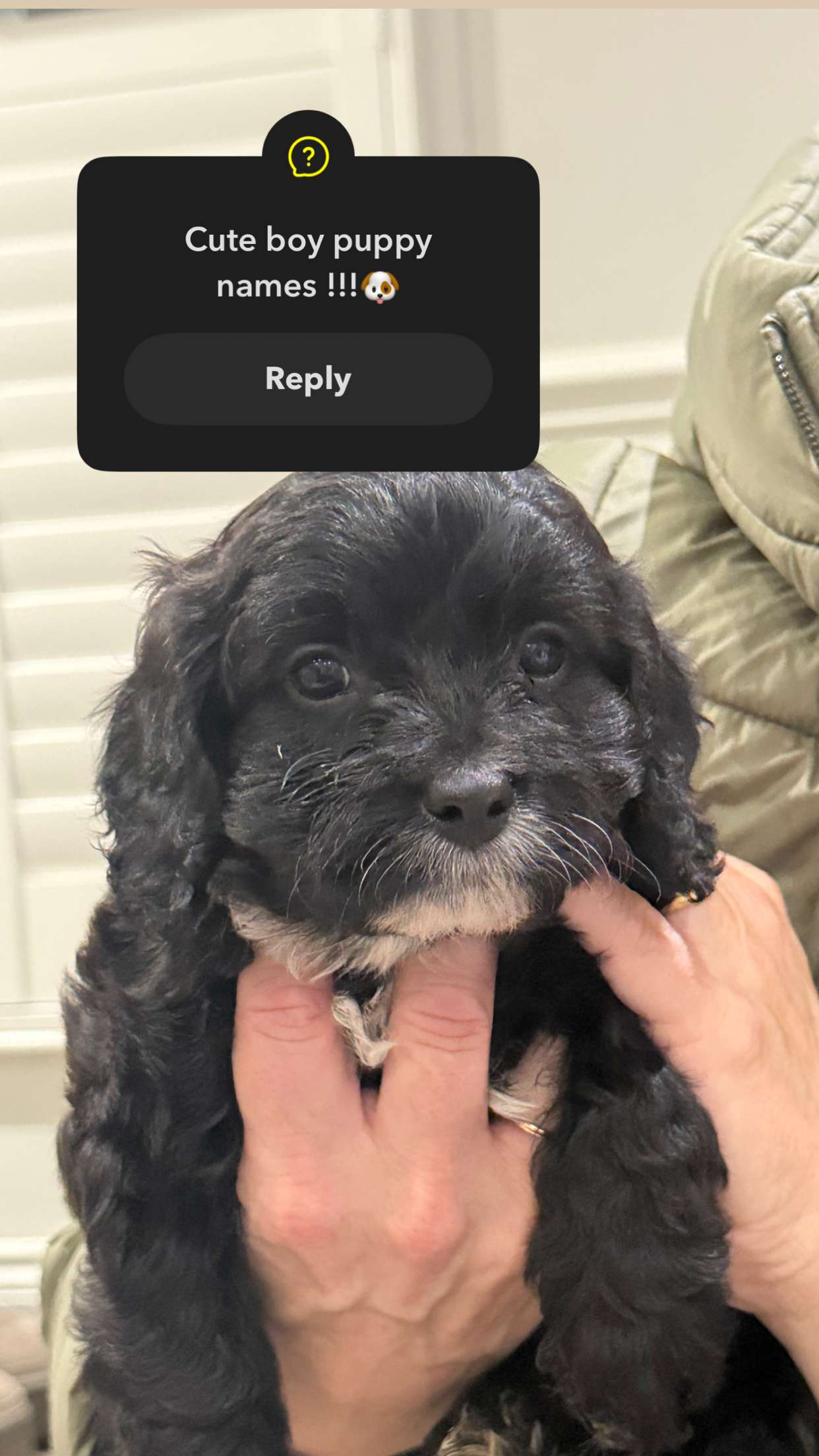 maddietaggx snapchat image archive image